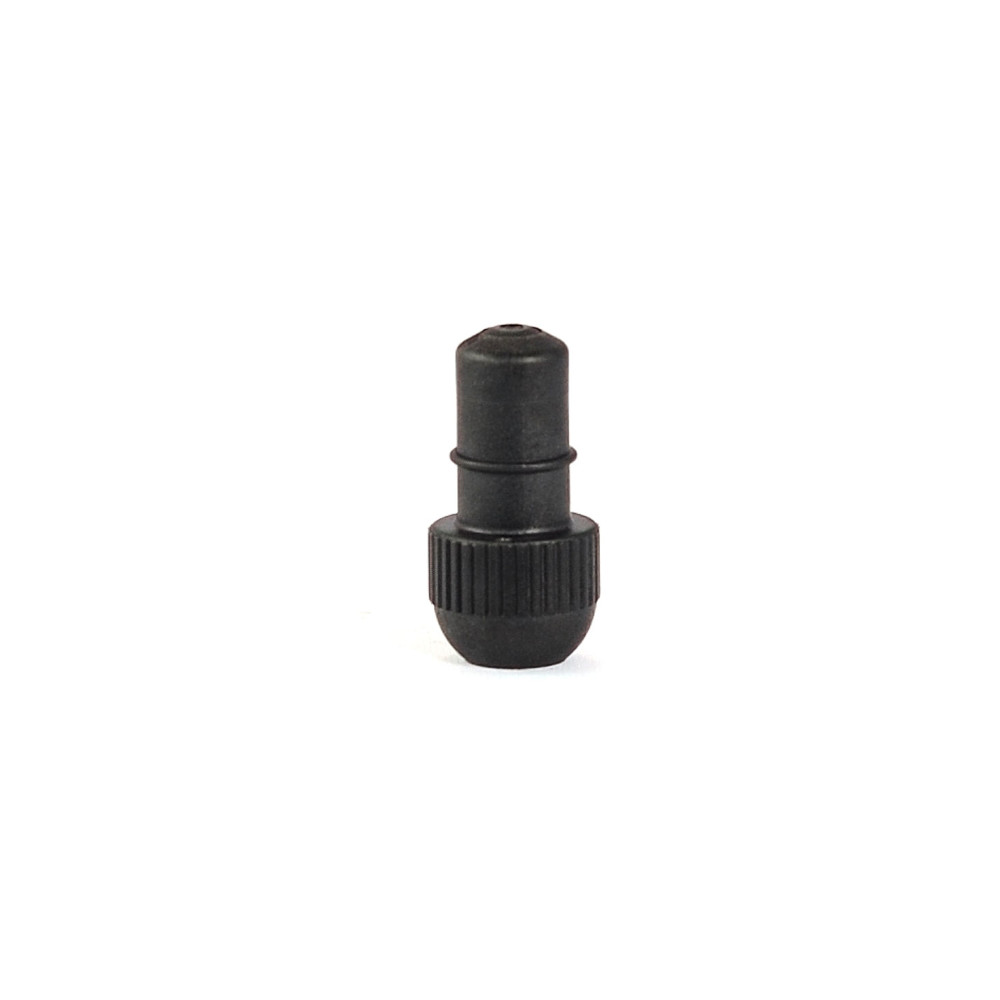 AEG Dampfdüse AC03 schwarz CaFamosa