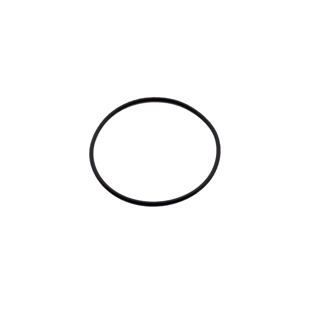Saeco O-Ring Wassertank Incanto / Moltio / Minuto u.a.