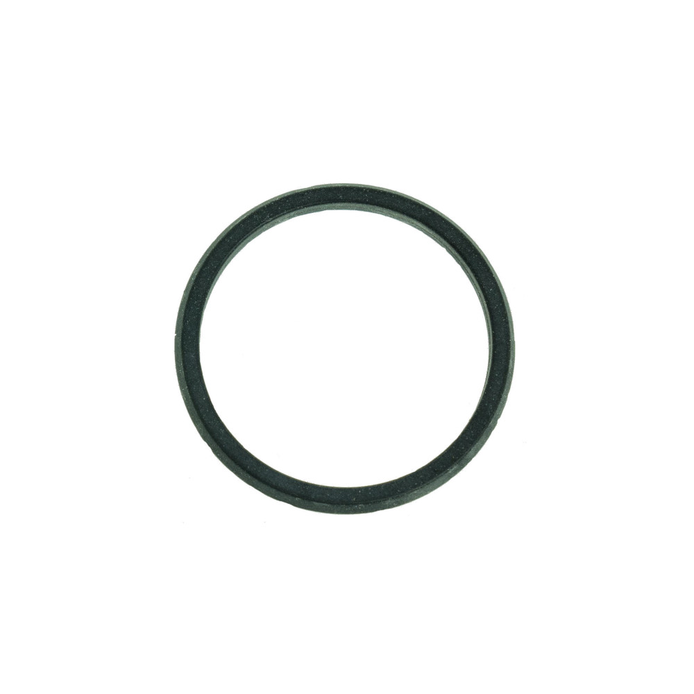 AEG O-Ring Brüheinheit