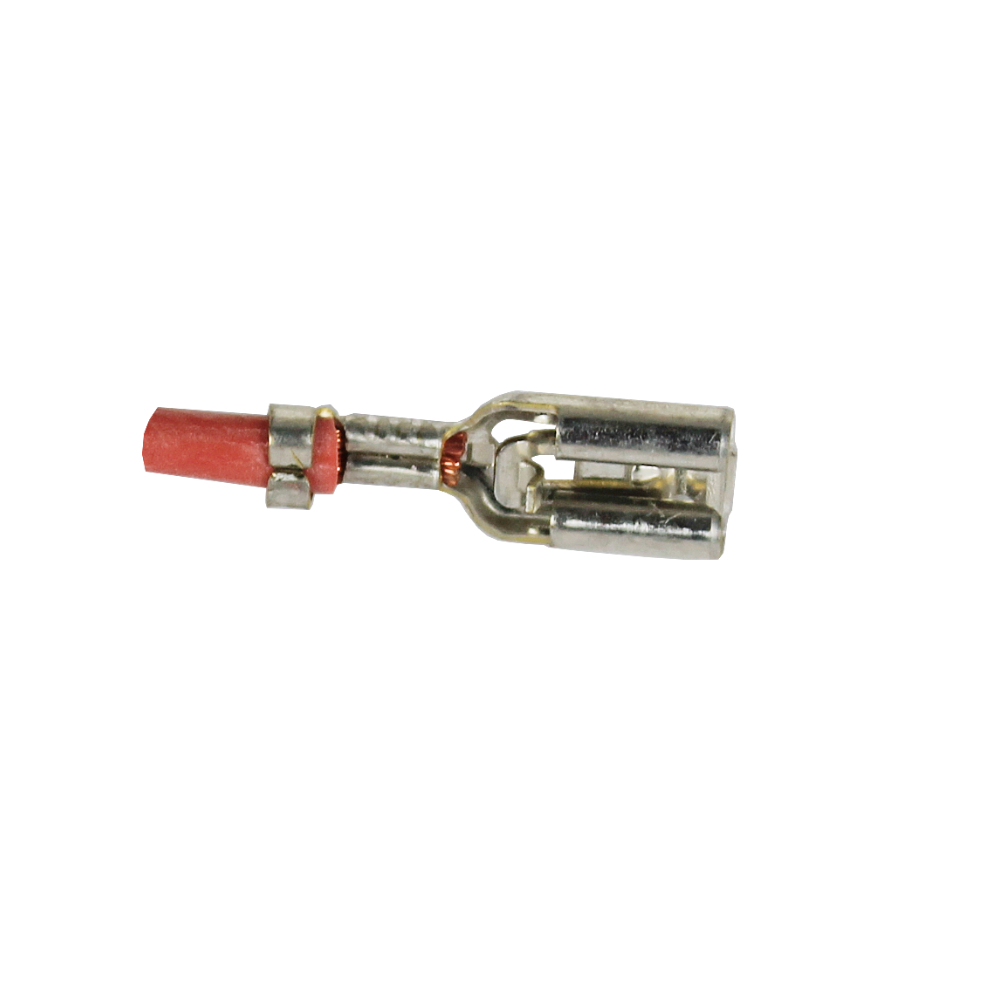 DeLonghi Sicherung ECAM220.31.SB