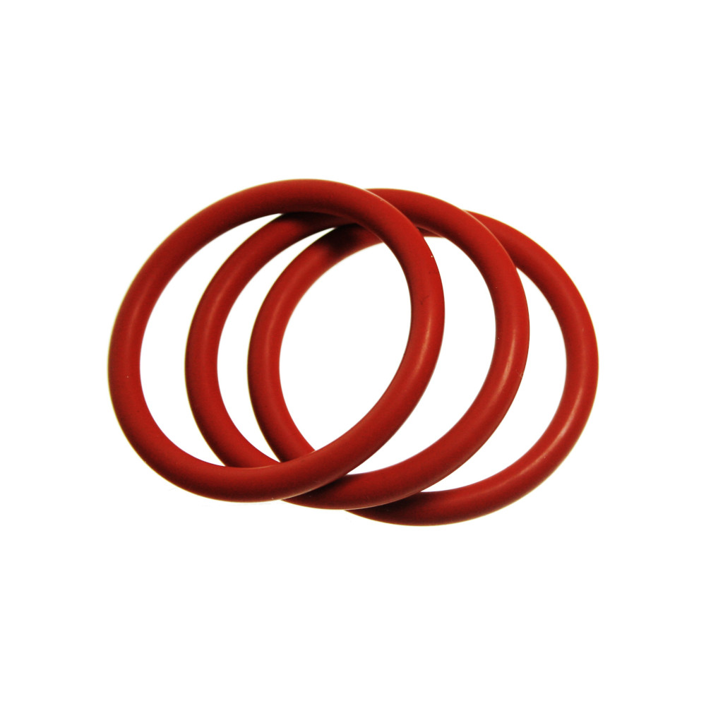 AEG O-Ringe Kolben CaffeGrande Caffe Silenzio