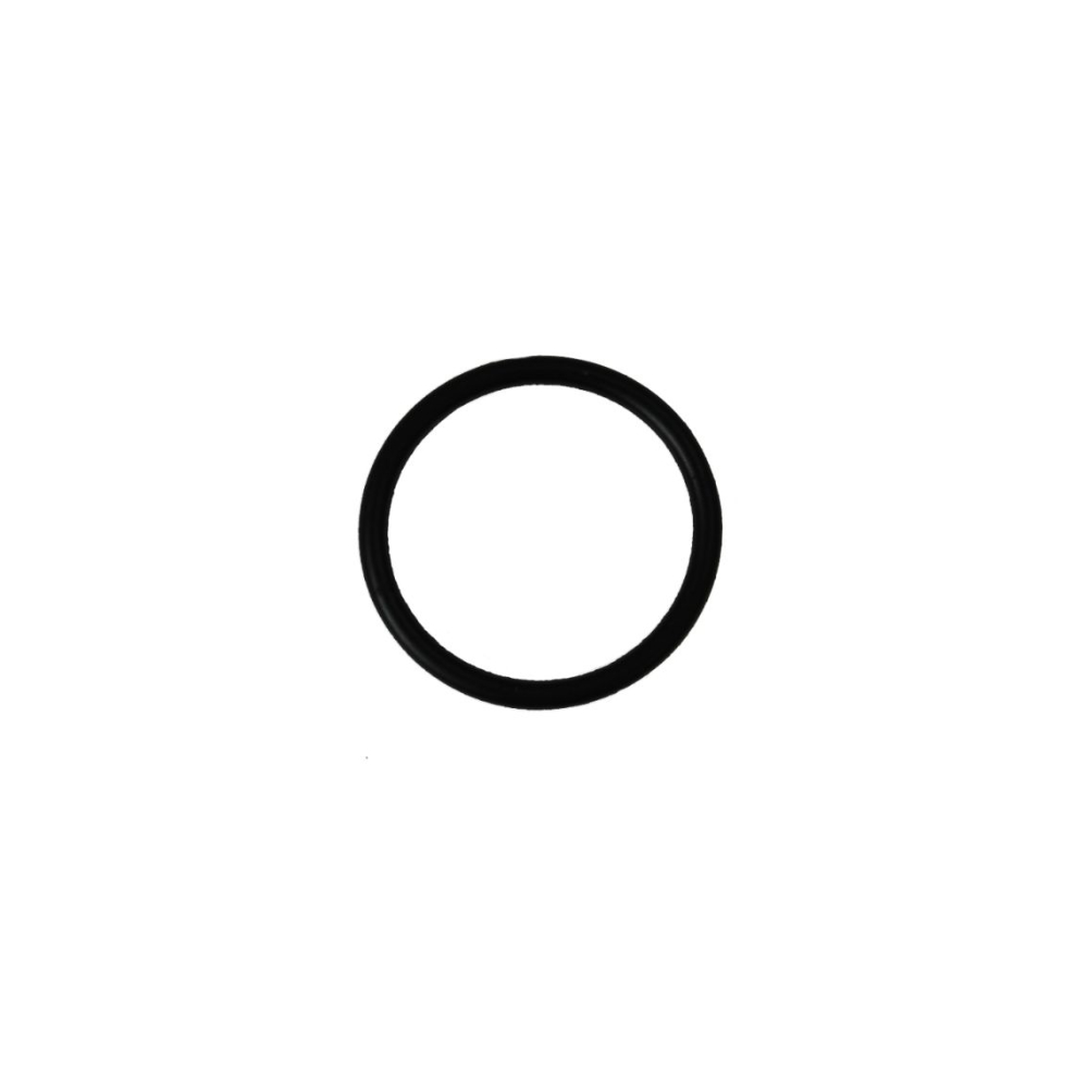 Krups O-Ring Brühkolben