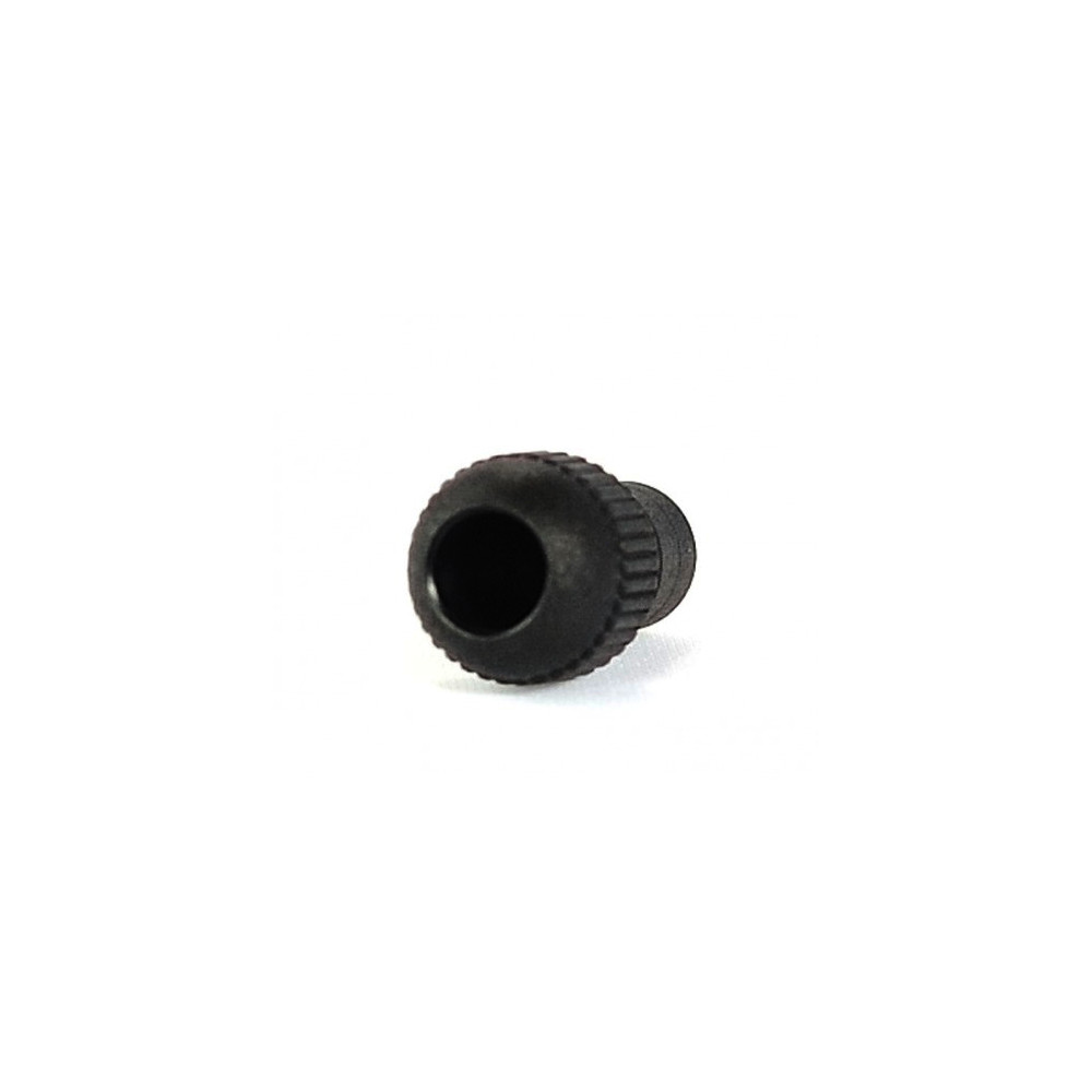 AEG Dampfdüse AC03 schwarz CaFamosa
