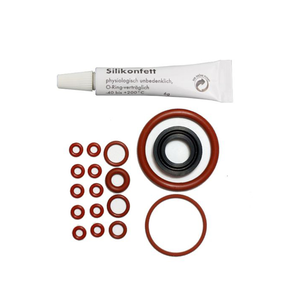 Saeco Dichtungssatz (mit Silikonfett) Royal