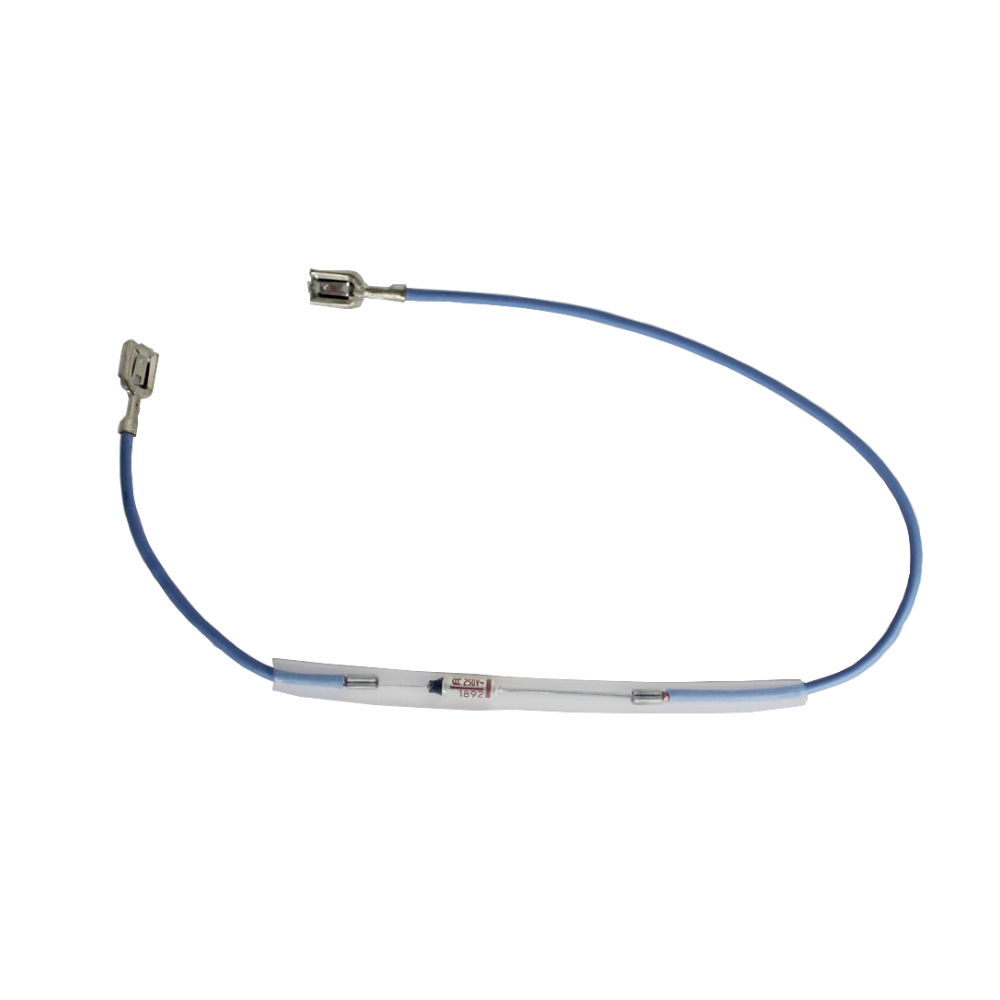 DeLonghi Thermosicherung EN Nespresso