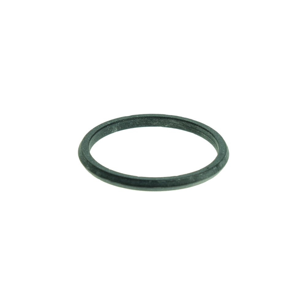AEG O-Ring Brüheinheit