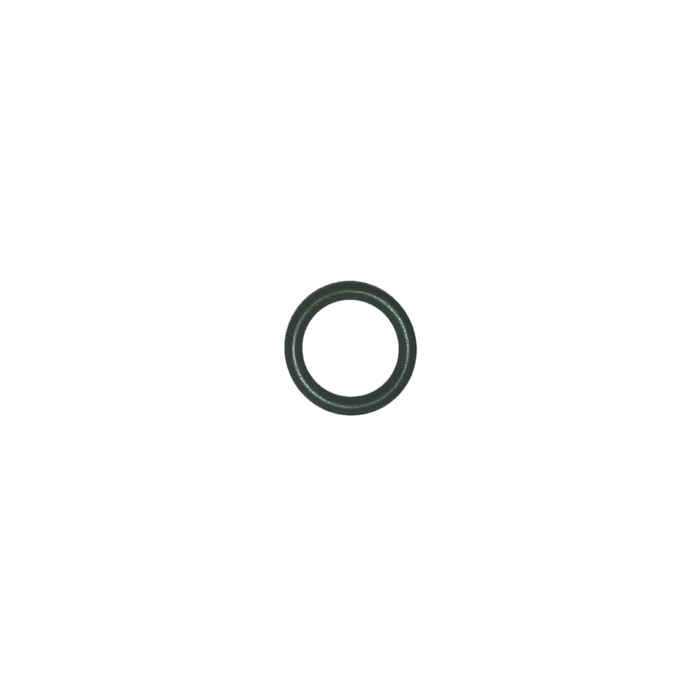 AEG O-Ring Ventilspindel 2018 CaFamosa