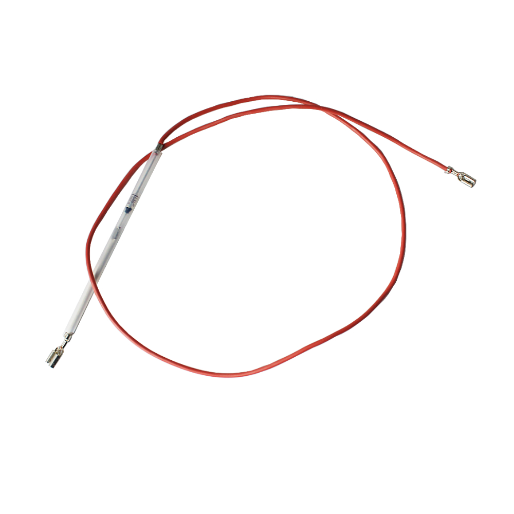 DeLonghi Sicherung ECAM220.31.SB