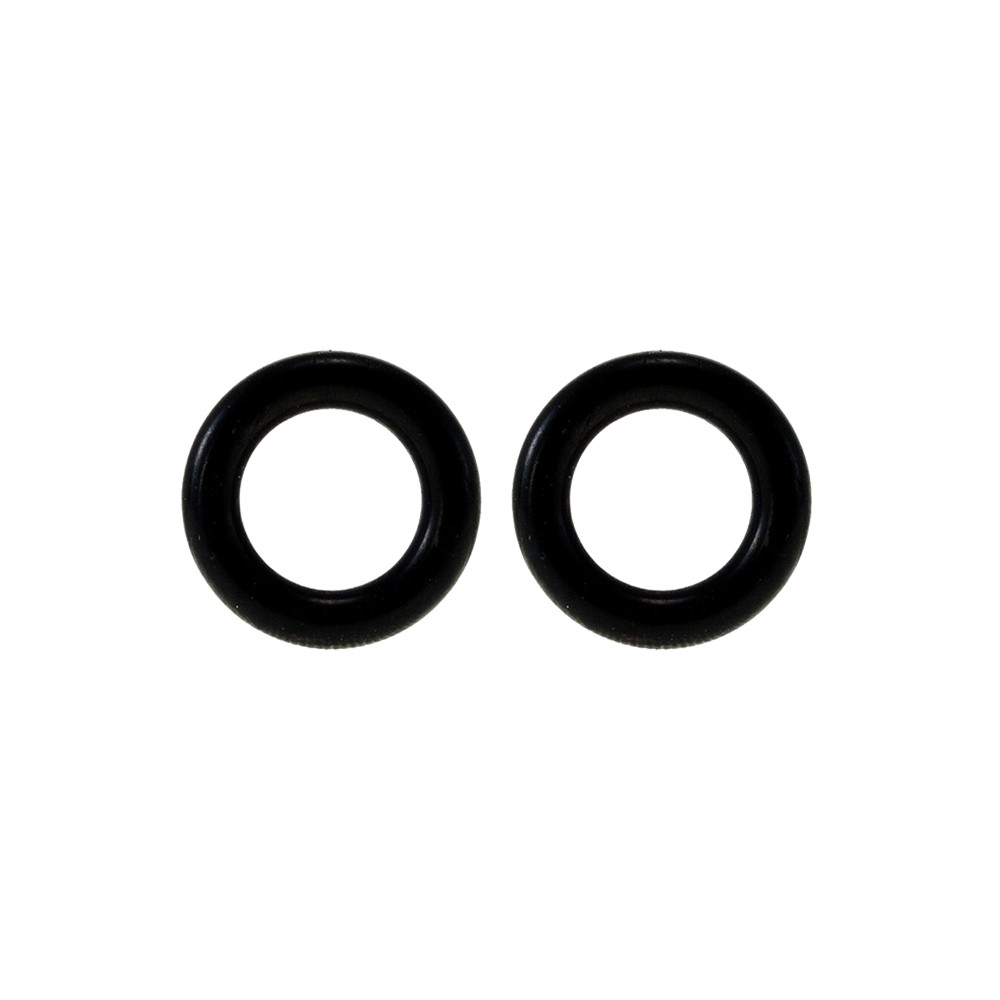 AEG O-Ring Dampfrohr 2er-Set CaFamosa