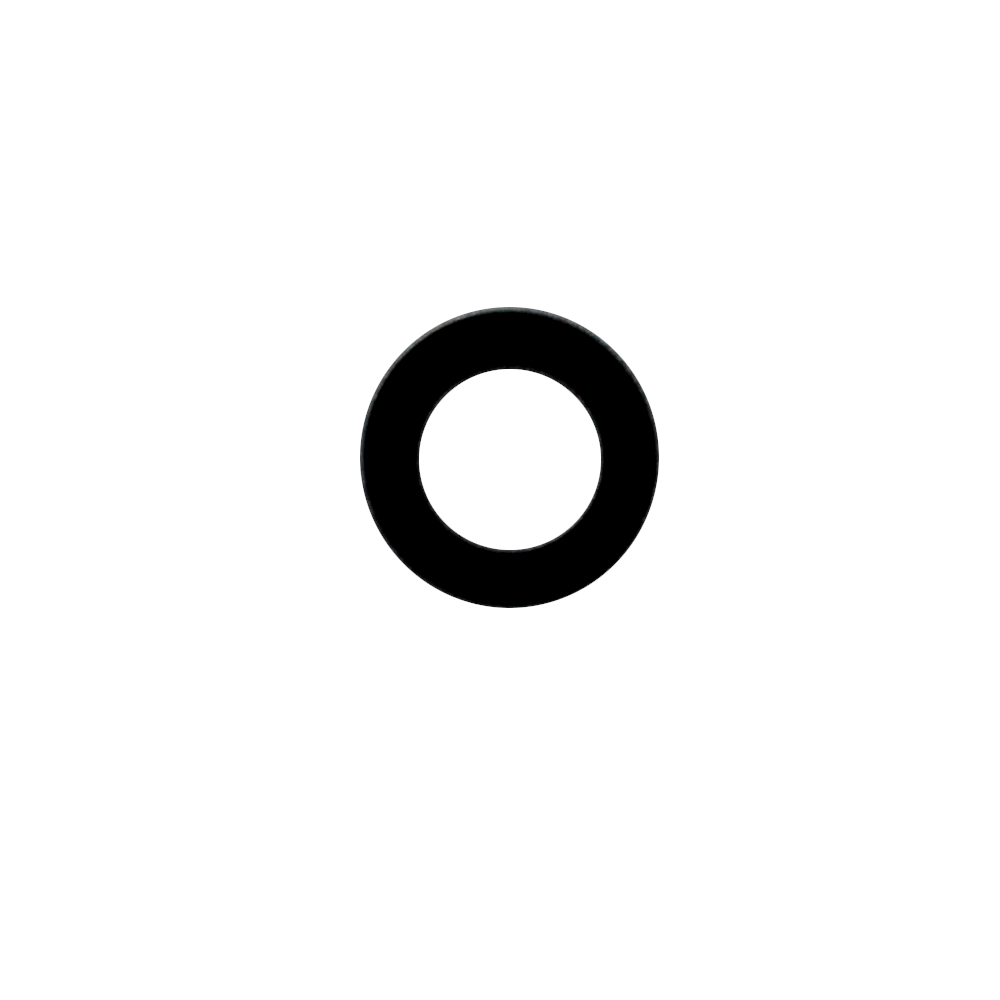 Delonghi O-Ring Dichtung für die Milchschaumdüse 5313217751