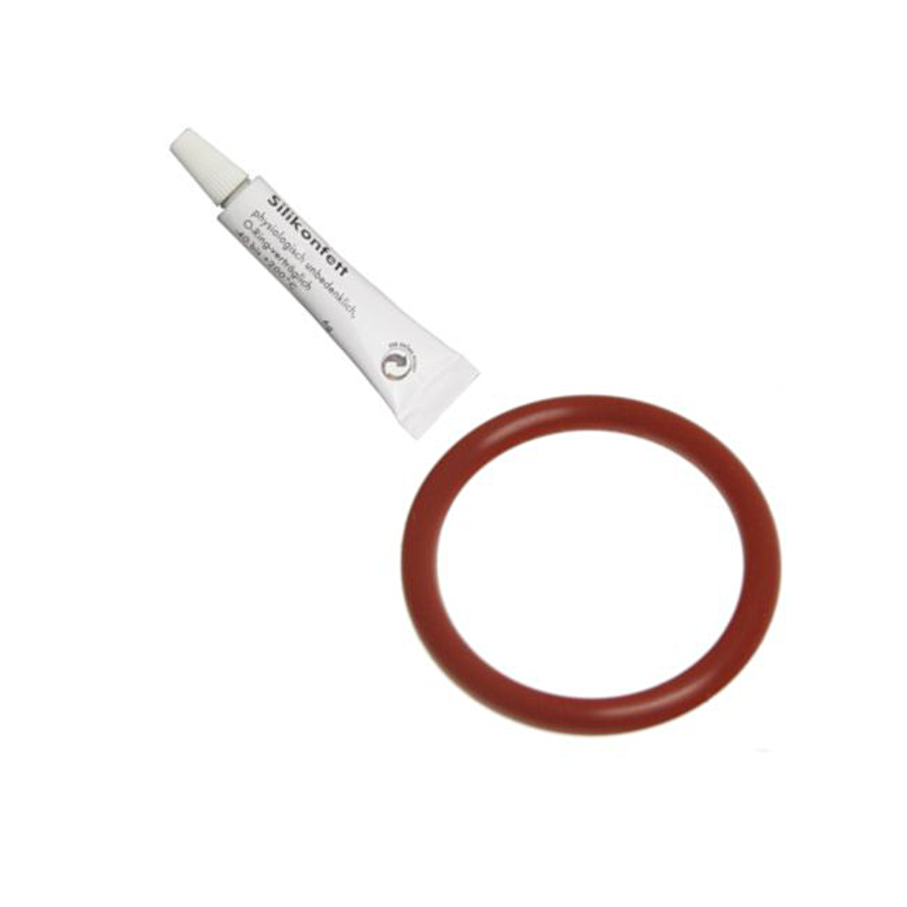 Saeco Dichtungsset Incanto O-Ring und Silikonfett